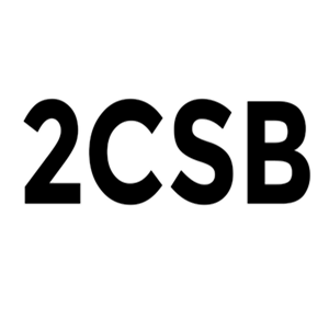 2CSB - 2 Click Social Buttons Pro 