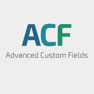 Advanced Custom Fields-13