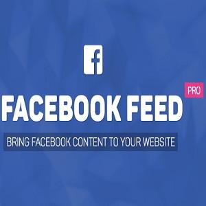 Facebook Feed-2